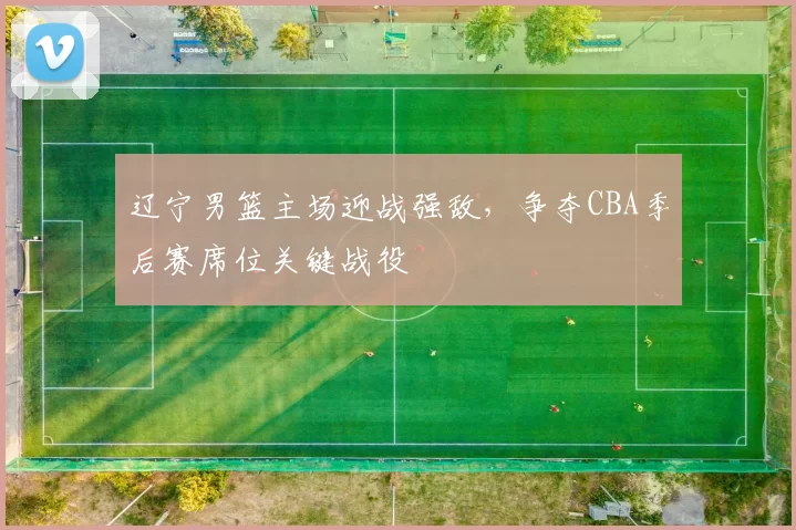 辽宁男篮主场迎战强敌，争夺CBA季后赛席位关键战役