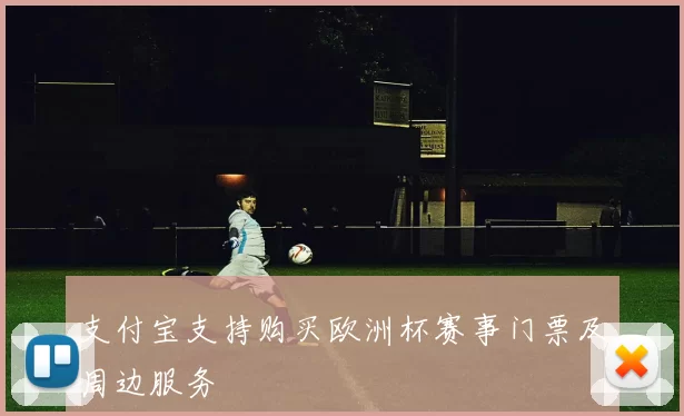 支付宝支持购买欧洲杯赛事门票及周边服务