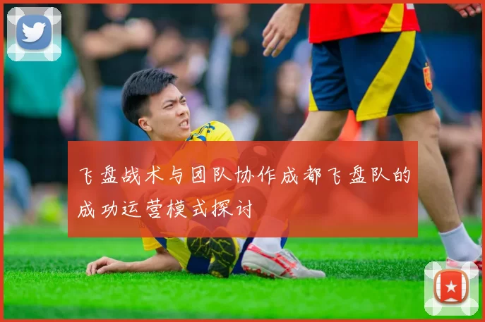 飞盘战术与团队协作成都飞盘队的成功运营模式探讨