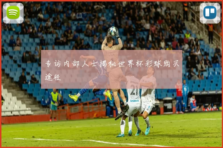 专访内部人士揭秘世界杯彩球购买途径
