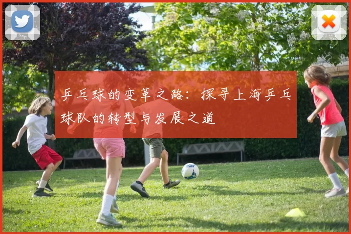 乒乓球的变革之路:探寻上海乒乓球队的转型与发展之道