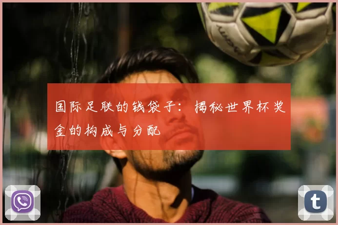 国际足联的钱袋子:揭秘世界杯奖金的构成与分配