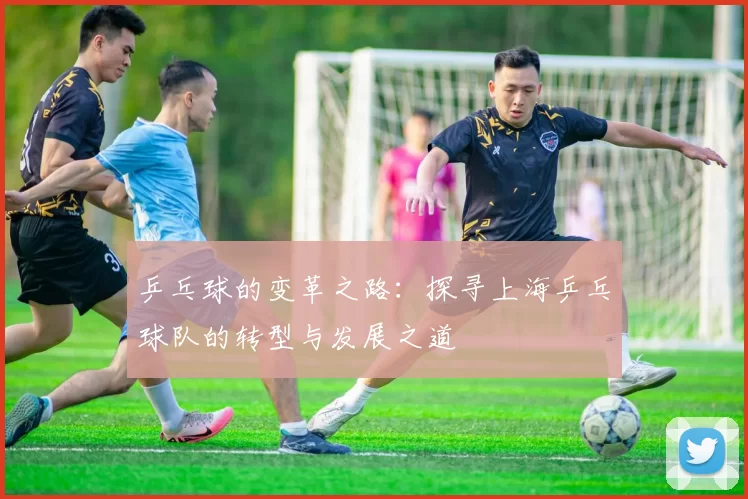 乒乓球的变革之路:探寻上海乒乓球队的转型与发展之道