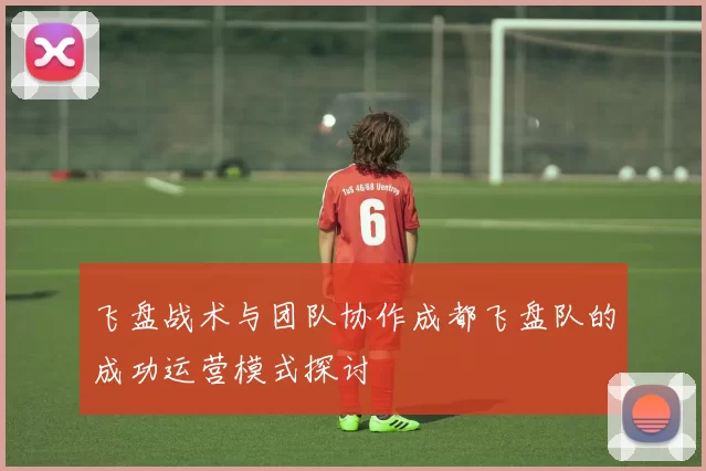 飞盘战术与团队协作成都飞盘队的成功运营模式探讨