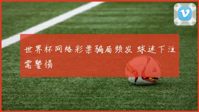 世界杯网络彩票骗局频发 球迷下注需警惕