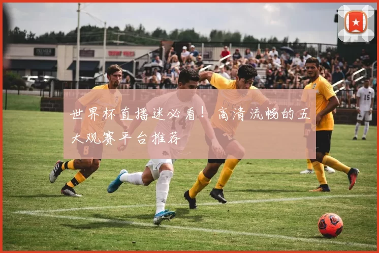 世界杯直播迷必看!高清流畅的五大观赛平台推荐