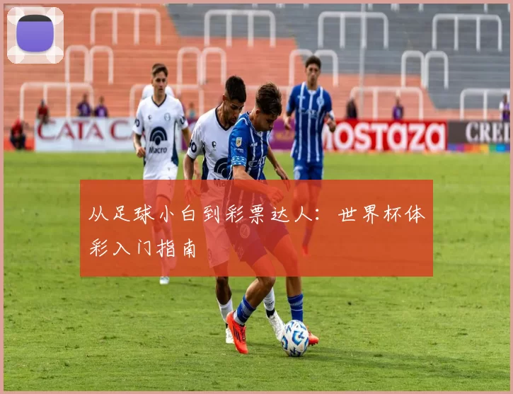 从足球小白到彩票达人:世界杯体彩入门指南