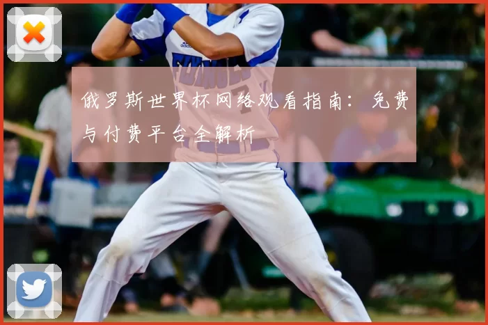 俄罗斯世界杯网络观看指南：免费与付费平台全解析
