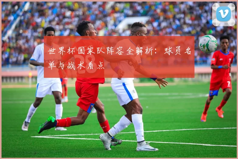世界杯国家队阵容全解析：球员名单与战术看点