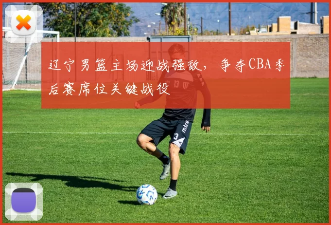 辽宁男篮主场迎战强敌，争夺CBA季后赛席位关键战役