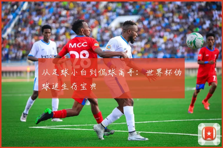 从足球小白到侃球高手:世界杯伪球迷生存宝典