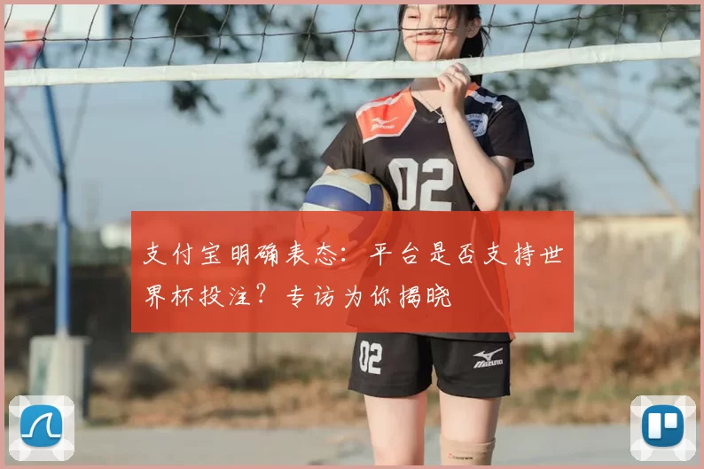 支付宝明确表态：平台是否支持世界杯投注？专访为你揭晓