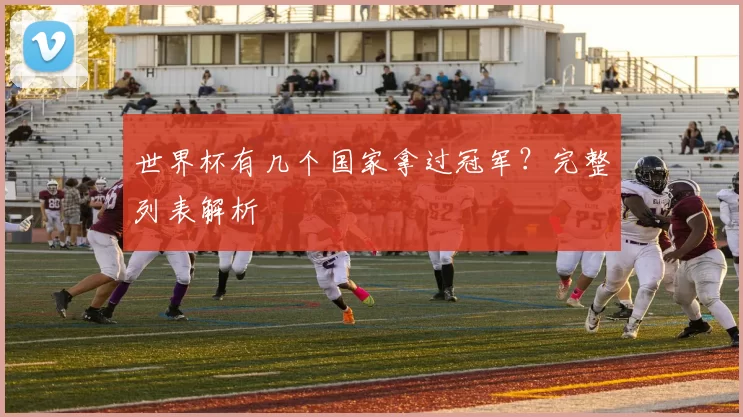 世界杯有几个国家拿过冠军？完整列表解析