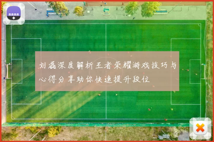 刘磊深度解析王者荣耀游戏技巧与心得分享助你快速提升段位