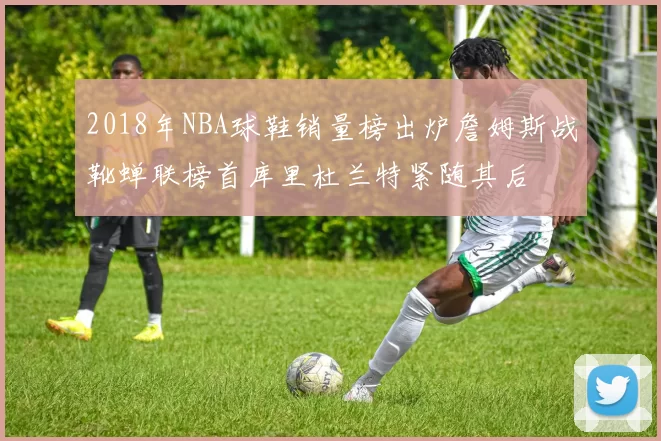 2018年NBA球鞋销量榜出炉詹姆斯战靴蝉联榜首库里杜兰特紧随其后