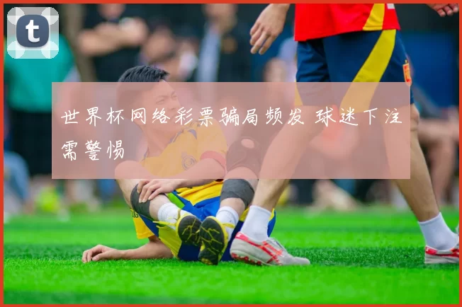 世界杯网络彩票骗局频发 球迷下注需警惕