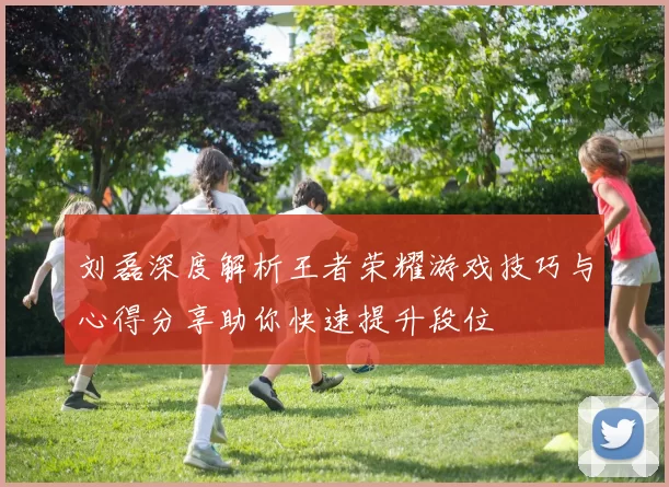 刘磊深度解析王者荣耀游戏技巧与心得分享助你快速提升段位