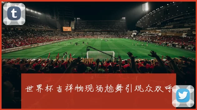世界杯吉祥物现场尬舞引观众欢呼