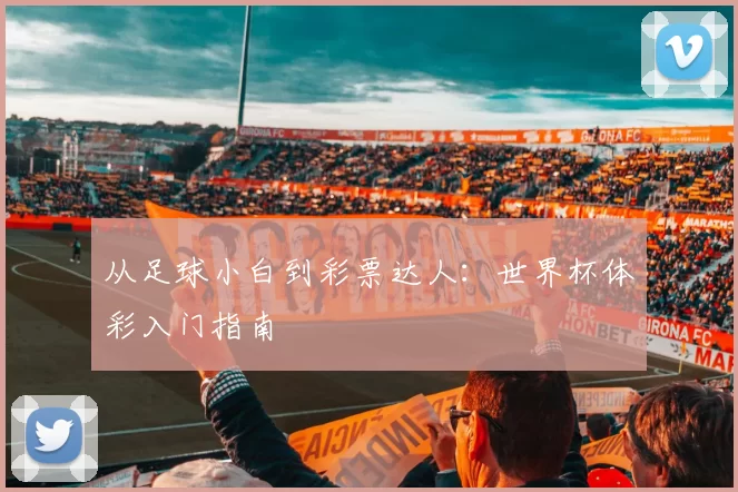 从足球小白到彩票达人：世界杯体彩入门指南